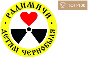 Семинар "Социальные проекты в НКО: отчетность и оценка эффективности"